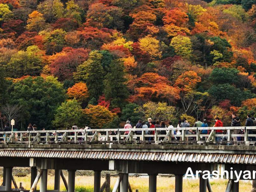 京都日帰りツアー (京都ハイヤー) 2